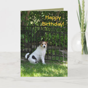 犬からのハッピーバースデー カード