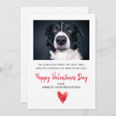 犬からのバレンタインの写真 シーズンカード (正面/裏面)