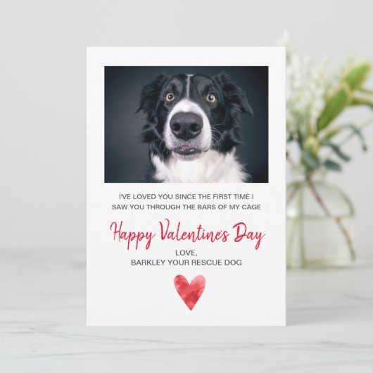 犬からのバレンタインの写真 シーズンカード (スタンド正面)