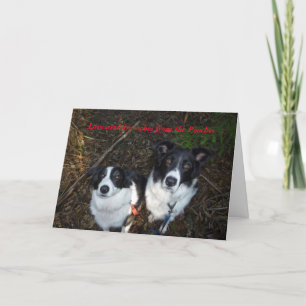 犬からのバレンタインデーカード シーズンカード