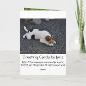 犬からの父の日 カード (裏面)