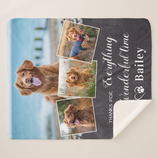 犬からペット記念撮影4写真記念 シェルパブランケット (正面(横))