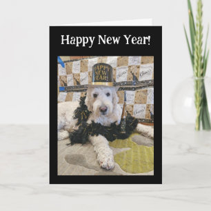 犬から皆さんへ 新年おめでとう カード