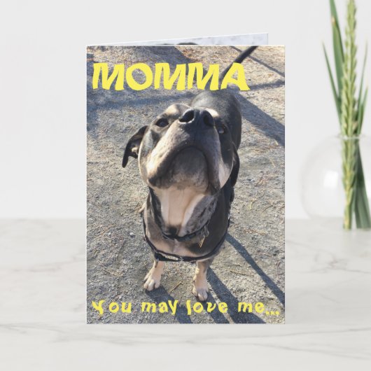 犬から舐める母の日 カード (正面)
