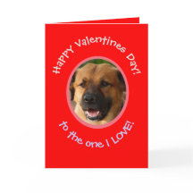 犬から飼い主へ 面白いバレンタイン フォトカード