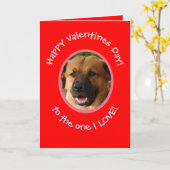 犬から飼い主へ 面白いバレンタイン フォトカード カード (黄色い花)