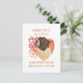 犬があなたの人生に入ってくることは時々ある 招待状 (スタンド正面)