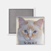 犬がやった マグネット (正面/裏面)