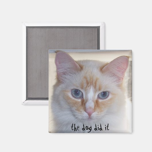 犬がやった マグネット (正面/裏面)