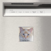 犬がやった マグネット (インサイチュ (食洗機))