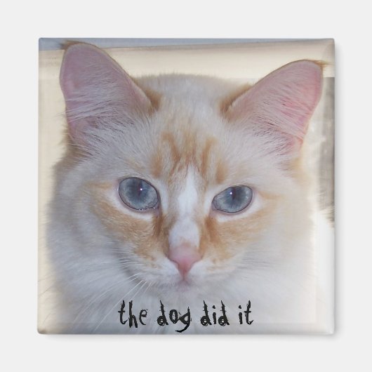 犬がやった マグネット (正面)