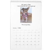 犬がカレン与えダのストーリーブックをアップしない カレンダー (1月 2026)