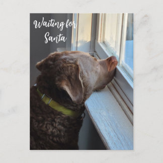 犬がサンタを待つ シーズンポストカード