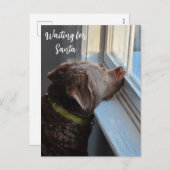 犬がサンタを待つ シーズンポストカード (正面/裏面)