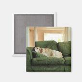 犬がソファで寝ている マグネット (正面/裏面)