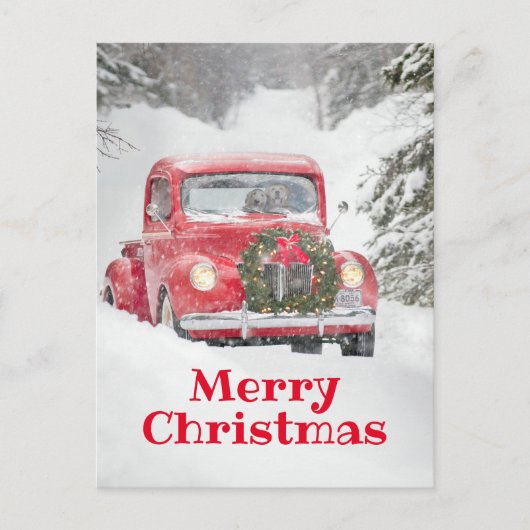 犬がトラックに乗って インビテーションポストカード (正面)