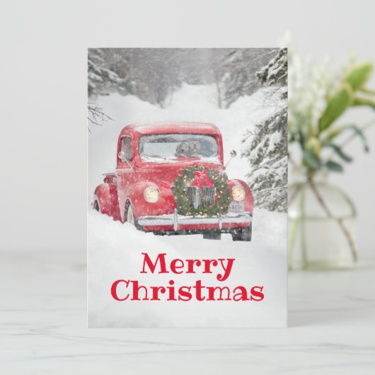 犬がトラックに乗って 招待状 (スタンド正面)