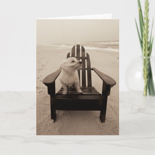 犬がビーチを楽しむ カード (正面)