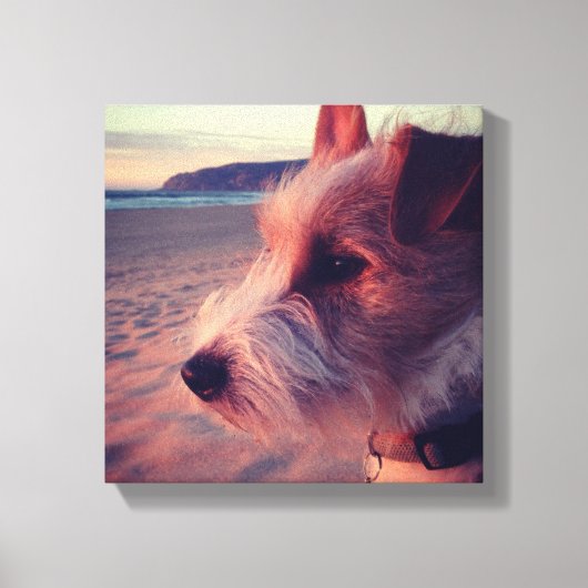 犬がビーチ キャンバスプリント (正面)