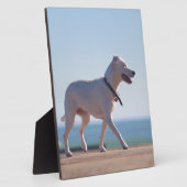 犬がビーチ フォトプラーク (側面)