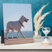 犬がビーチ フォトプラーク (側面)