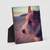 犬がビーチ フォトプラーク (正面)