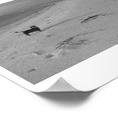 犬がビーチ ポスター (角)