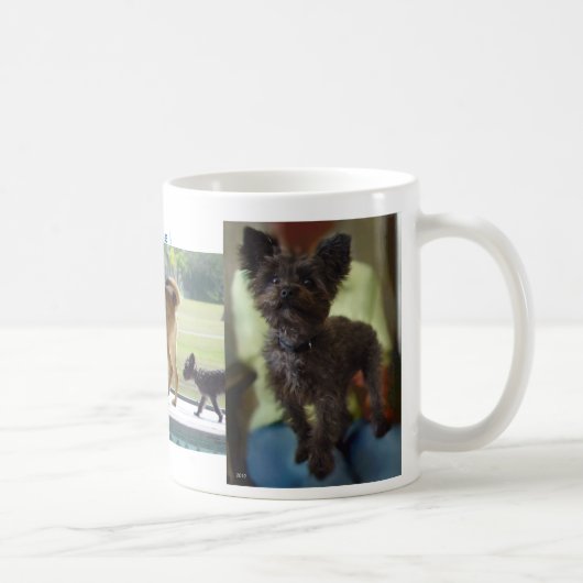 犬がマグを支配 コーヒーマグカップ (右)