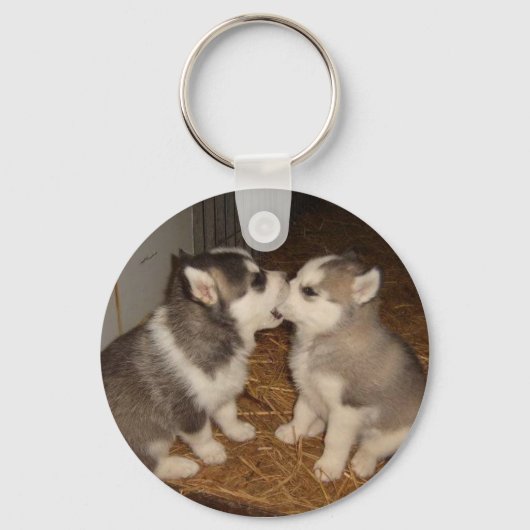 犬が口を噛む キーホルダー (正面)