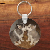 犬が口を噛む キーホルダー (正面)