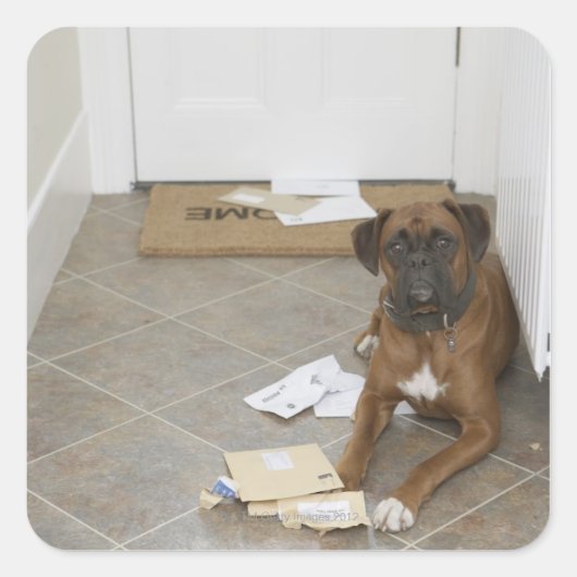 犬が嘘をついてメールを噛んだ スクエアシール (正面)