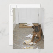 犬が嘘をついてメールを噛んだ ポストカード (正面/裏面)