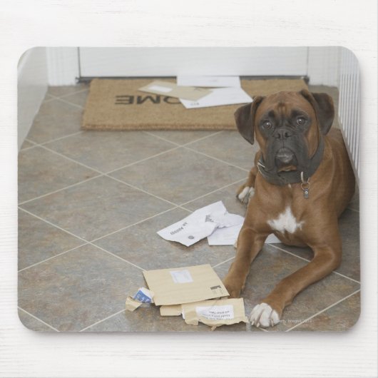 犬が嘘をついてメールを噛んだ マウスパッド (正面)
