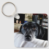 犬が好きだ |写真 キーホルダー (正面)