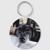 犬が好きだ |写真 キーホルダー (正面)