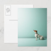 犬が宇宙を見上げる ポストカード (正面/裏面)