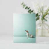 犬が宇宙を見上げる ポストカード (スタンド正面)