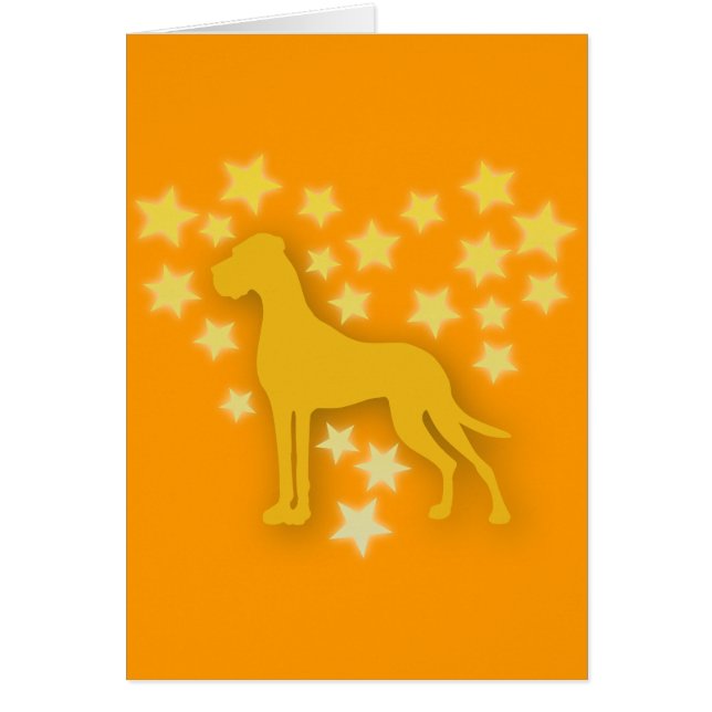 犬が星のように (正面)
