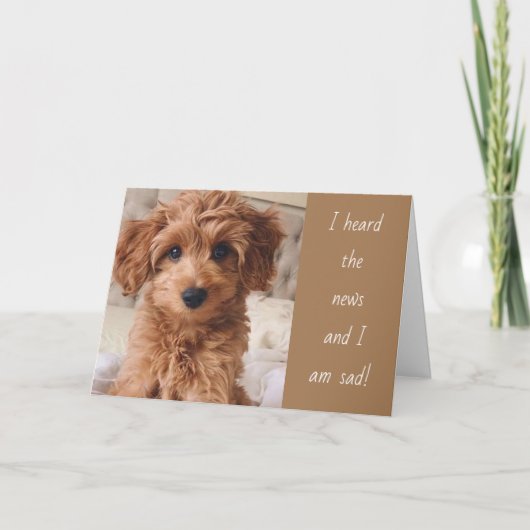 犬が本気で引っ越した遠くに! カード (正面)