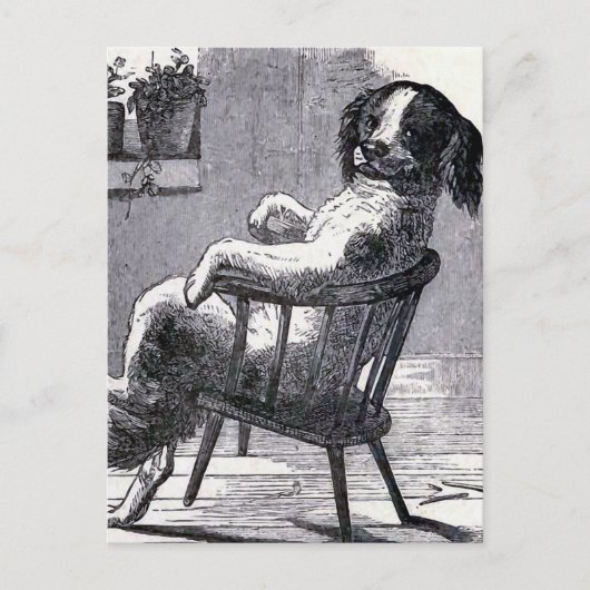 「犬が椅子に座る」イラストレーション ポストカード (正面)