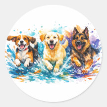 犬が水しぶきをあげる