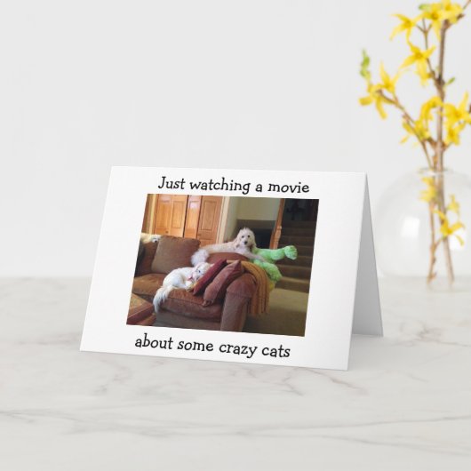 犬が猫の誕生日カード熱狂するの動画を見る カード (黄色い花)