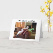 『犬が猫を見熱狂するる』SAYハッピーバースデー カード (黄色い花)