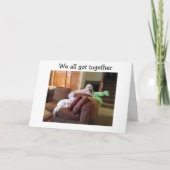 『犬が猫を見熱狂するる』SAYハッピーバースデー カード (正面)