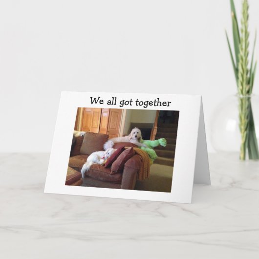 『犬が猫を見熱狂するる』SAYハッピーバースデー カード (正面)