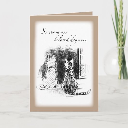 犬が病気だと聞いて残念だ、猫と犬が外を見ている カード (正面)