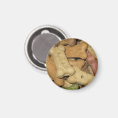 犬が磁石を扱う マグネット (正面/裏面)