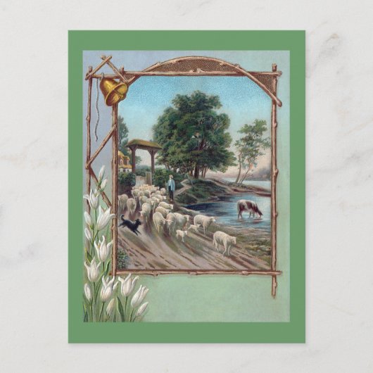 犬が羊の道を歩く ポストカード (正面)