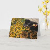 犬が花を見て黒い目スーザンデイジー カード (黄色い花)