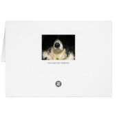 犬が近づく (裏面横)